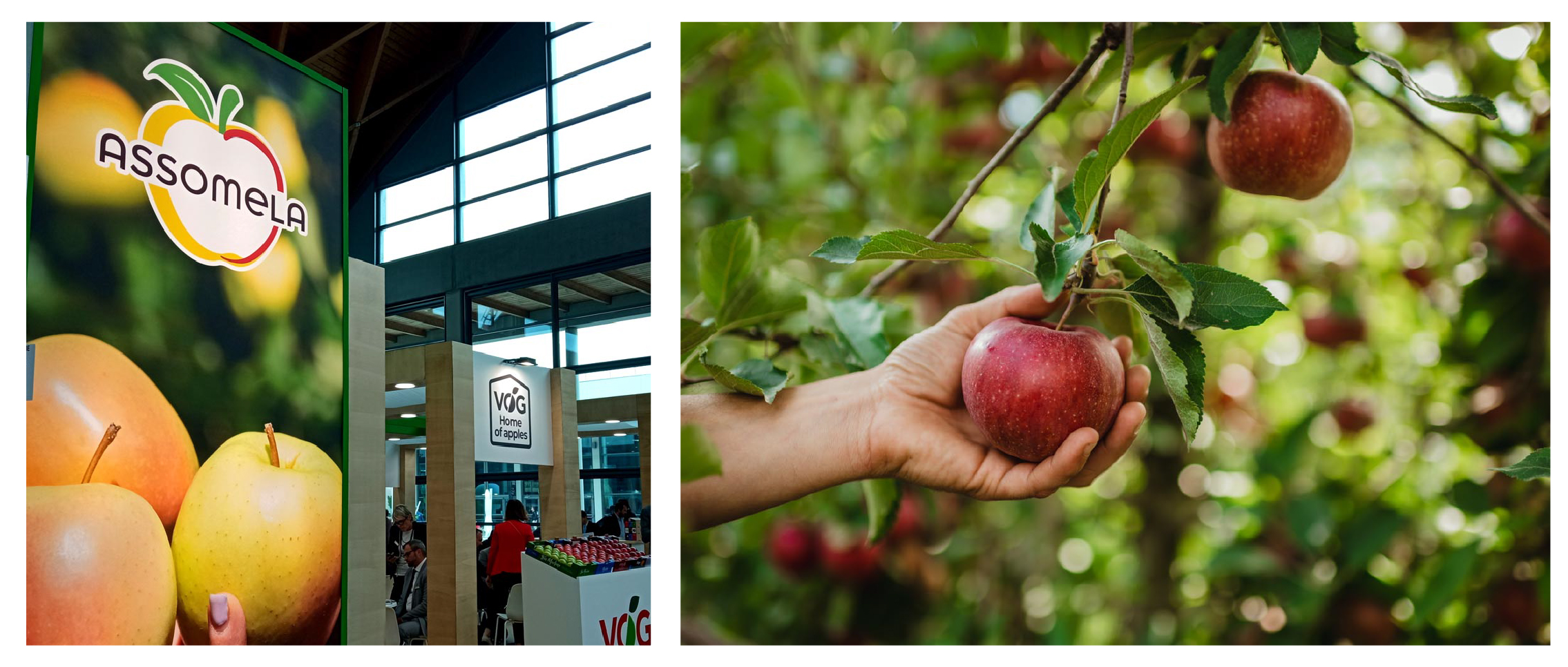 Immagine delle missioni internazionali per l'export