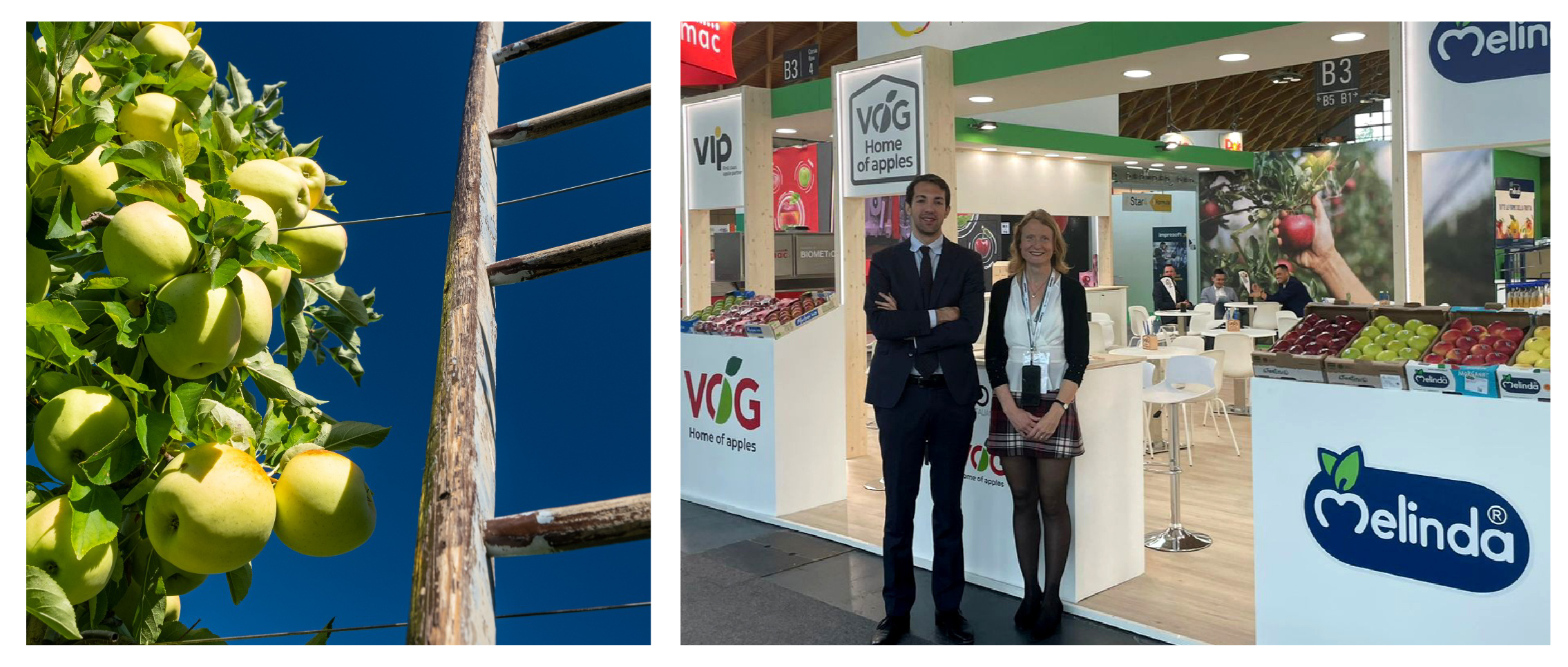 Immagine delle missioni internazionali per l'export