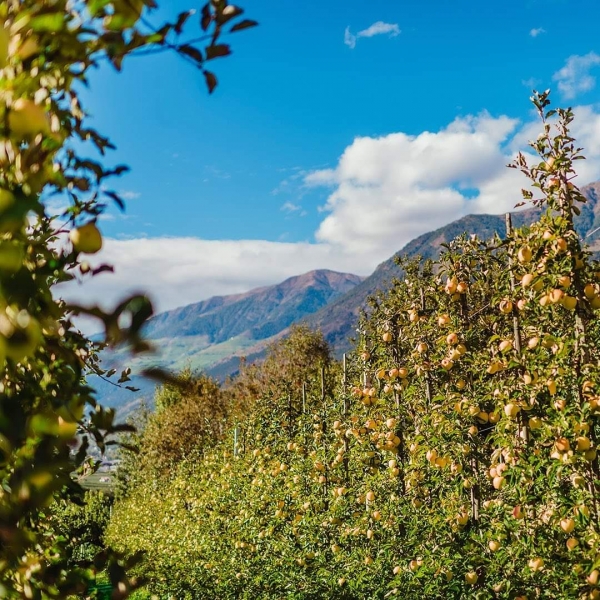 Best Way to Do Eco and Agriculture