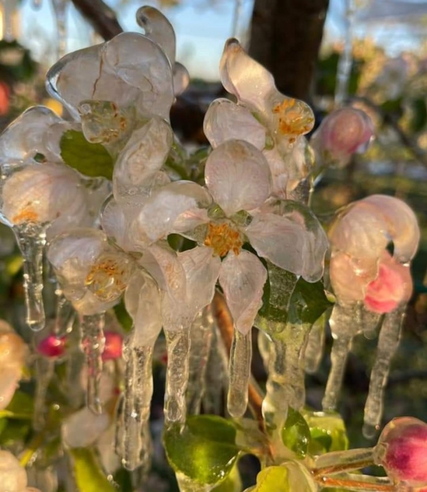 Best Way to Do Eco and Agriculture