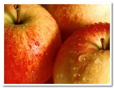 Best Way to Do Eco and Agriculture