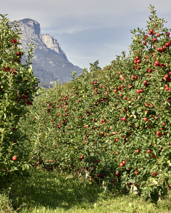 Best Way to Do Eco and Agriculture