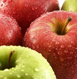 Best Way to Do Eco and Agriculture