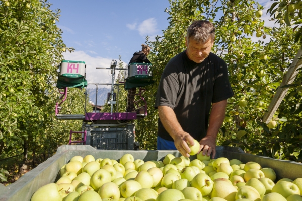 Best Way to Do Eco and Agriculture