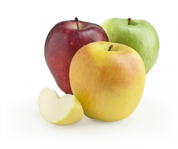 Best Way to Do Eco and Agriculture