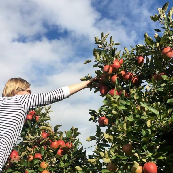 Best Way to Do Eco and Agriculture